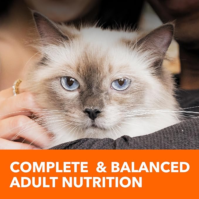 Iams IAMS PROACTIVE HEALTH Adult Sensitive Digestion & Skin Dry Cat Food with Real Turkey Cat Kibble, 3 lb. Bag