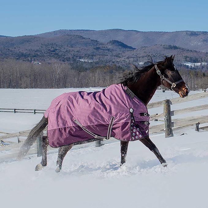 Equinavia Norse Lightweight 100g Fill Horse Rain Blanket | Waterproof Turnout Sheet - Black - 66 in - Plum Wine/Orchid Haze - 81 in