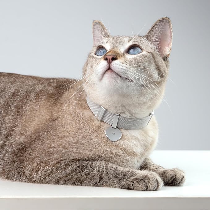 Safety Cat Collar Pro and Tag Set - U.S. IDA Gold Award, Elastic Release Cat Collar Charm Tag, Non Breakaway Cat Collar Adjustable with Charm for Kitten Small Large Cats (Monet Purple, M)