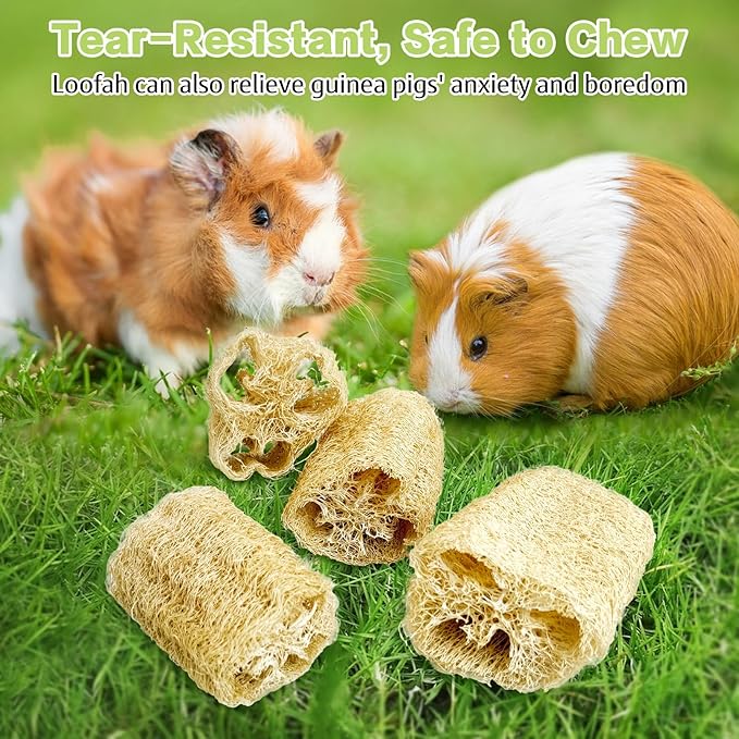 BNOSDM Bunny Chew Toys Natural Loofah 4PCS Bunny Teeth Grinding Toy Rabbit Fiber-Rich Treats Pet Entertainment Accessories for Rabbits Chinchillas Guinea Pig（XL）