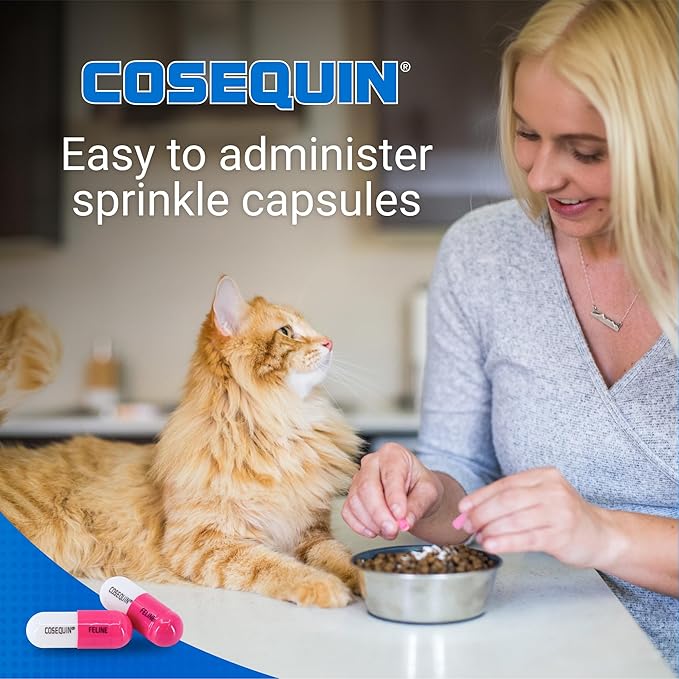 Nutramax Cosequin Joint Health Supplement for Cats - With Glucosamine and Chondroitin, 80 Capsules (Pack of 2)