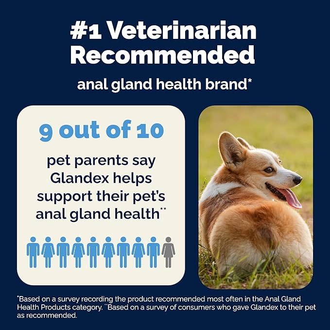 Vetnique Labs Glandex Anal Gland Soft Chew Treats with Pumpkin for Dogs Digestive Enzymes, Probiotics Fiber Supplement for Dogs Boot The Scoot (Bacon/Pork Chews, 120 Count)