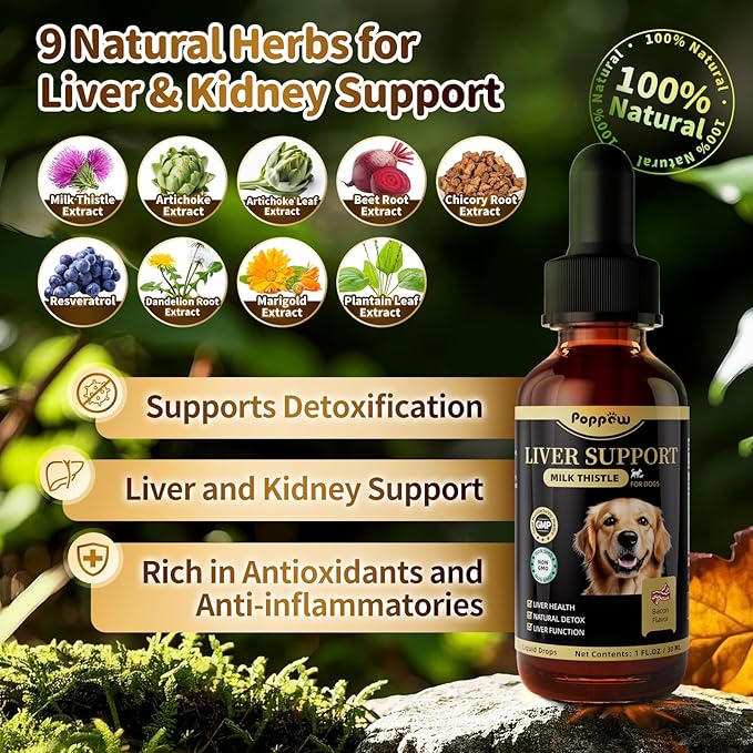 (2 Pack) Poppaw Milk Thistle for Dogs, 9-in-1 Liver & Kidney Support Drops with Artichoke, Resveratrol, Marigold Extract, Natural Detox Herbal Supplement for Liver Function, Bacon Flavor, 2 Oz