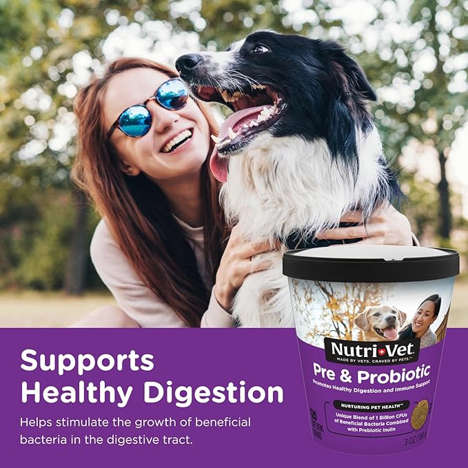 Nutri-Vet Pre & Probiotics for Dogs, Digestive Support, Upset Stomach, Puppy Probiotic, Pet Vitamins and Supplements, Dog Probiotics, Liver & Cheese Flavor, 120 Soft Chews