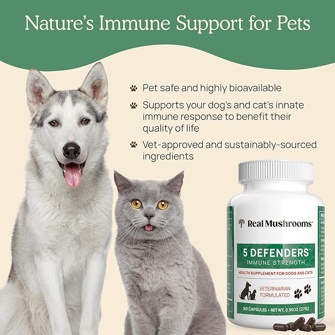 5 Defenders Mushroom Supplement for Cats & Dogs – Chaga, Shiitake, Reishi, Turkey Tail, Maitake – Cat Multivitamin & Dog Supplement for Wellness Support– 90 ct Real Mushrooms Powder Capsules