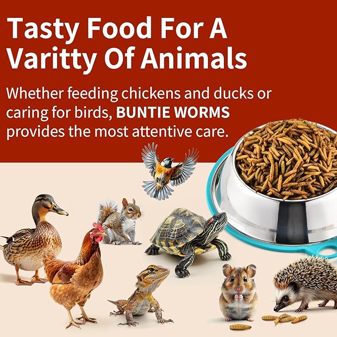 Dried Black Soldier Fly Larvae 5LB, High Protein Chicken Feed, 100% Natural Non-GMO – Treat for Chicken More Calcium Than Mealworms, Food for Laying Hen, Ducks, Wild Birds