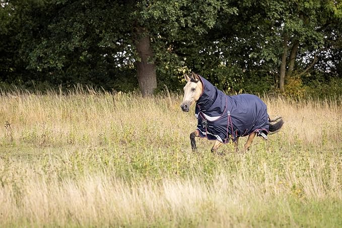 LeMieux Kudos 200g Turnout Blanket - 1680Denier Waterproof Outer - Detachable Neck Inlcluded - Navy - 69"