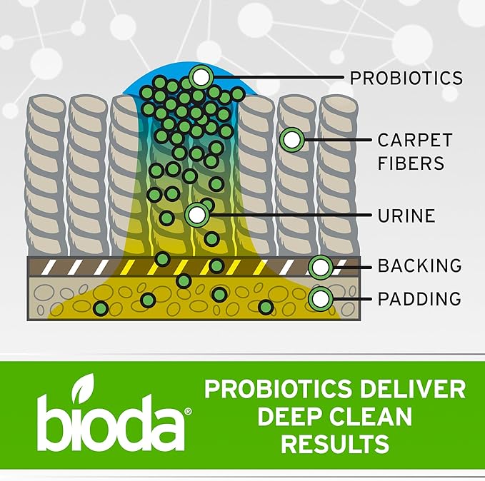 Bioda Pet Stain and Odor Eliminator | Pet Urine Enzyme Cleaner | Stain Remover | Urine Odor Eliminator | Carpet & Couch Cleaner | Made in USA | 1 Gallon