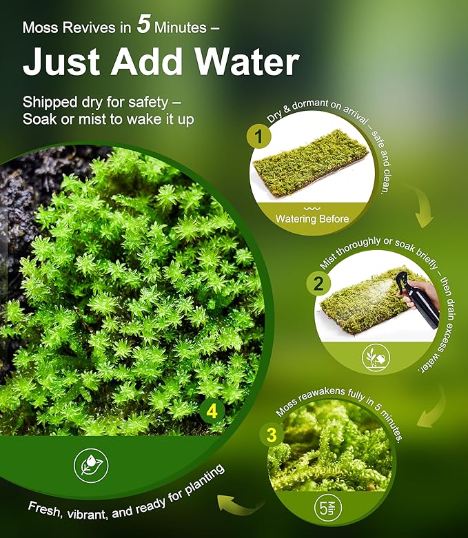 Live Moss Duo Pack – 2 Varieties Mixed Moss for Reptile Terrariums, Amphibian Habitats, Bonsai, Vivariums