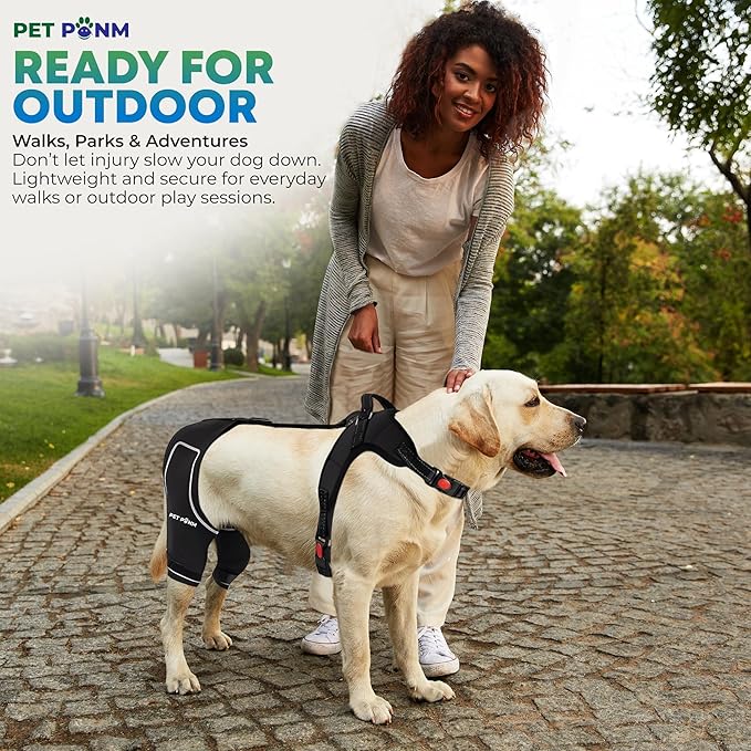 Dog ACL Knee Brace for Back Left Leg - with Integrated Harness - for Cruciate Ligament Injuries, Patellar Luxation, Post-Surgery Recovery. Durable, Breathable Material, Eases Pain - (Medium)