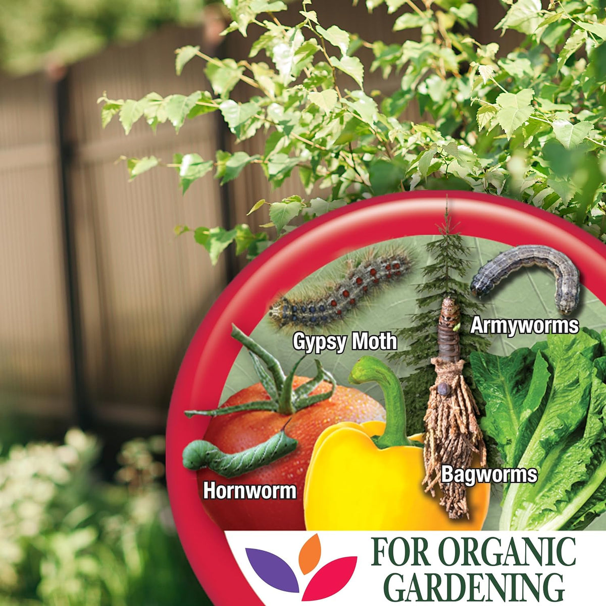 Bonide 8066 Captain Jack's Bacillus Thuringiensis BT Organic Worm & Caterpillar Control, 32 oz. Ready-to-Us - Quantity 1