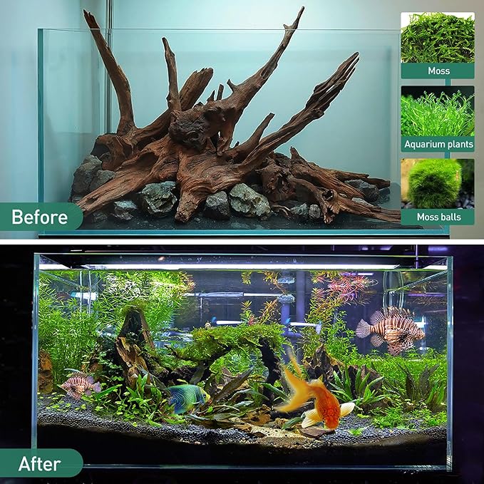WDEFUN Natural Driftwood for Aquarium Decor, 1-Piece 13''-17'' Large Driftwood for Decorations on Fish Tank, Reptiles Bearded Dragon Accessories or Air Plants