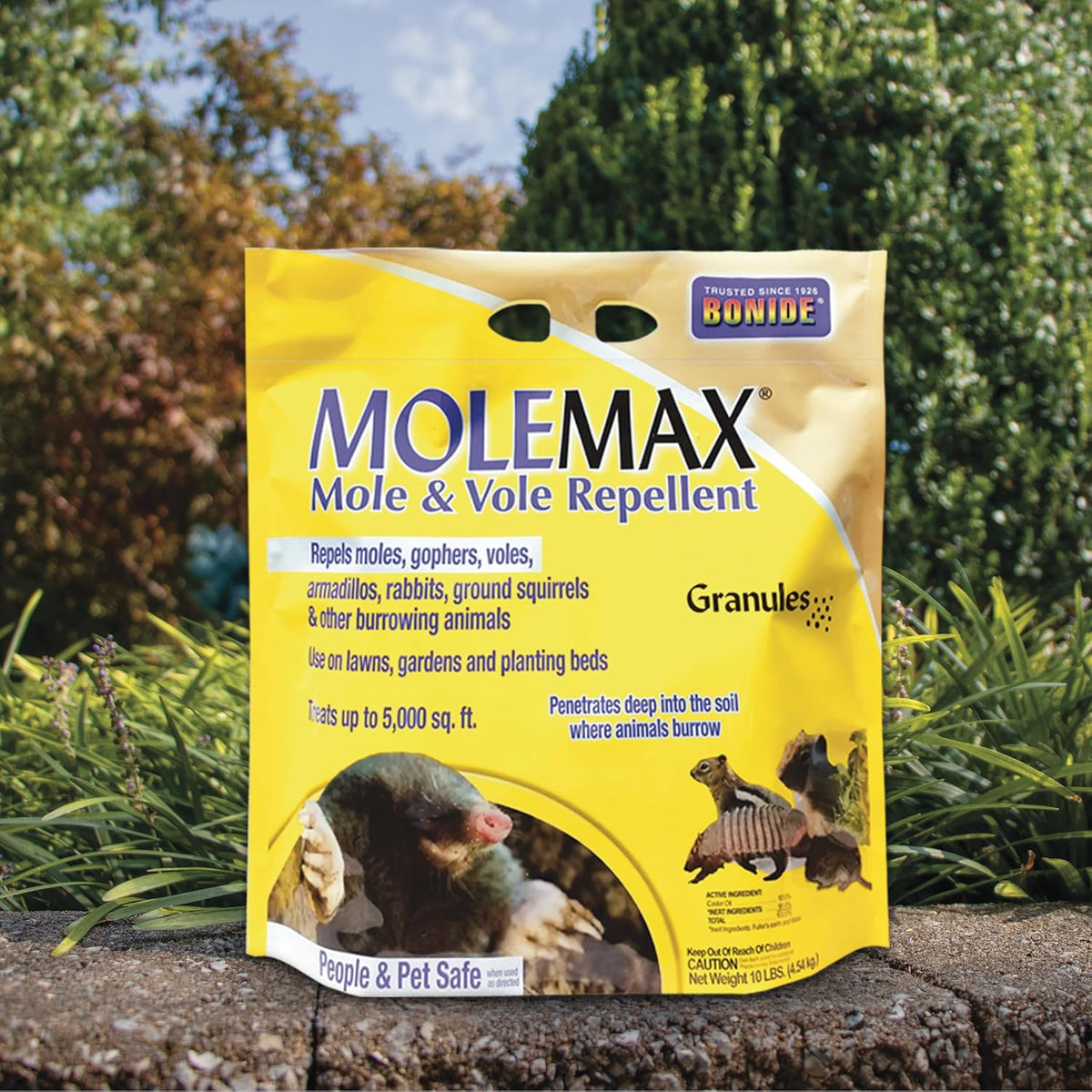 Bonide MOLEMAX Mole & Vole Repellent Granules, 10 lbs. Ready-to-Use, Outdoor Lawn & Garden Mole Control, People & Pet Safe