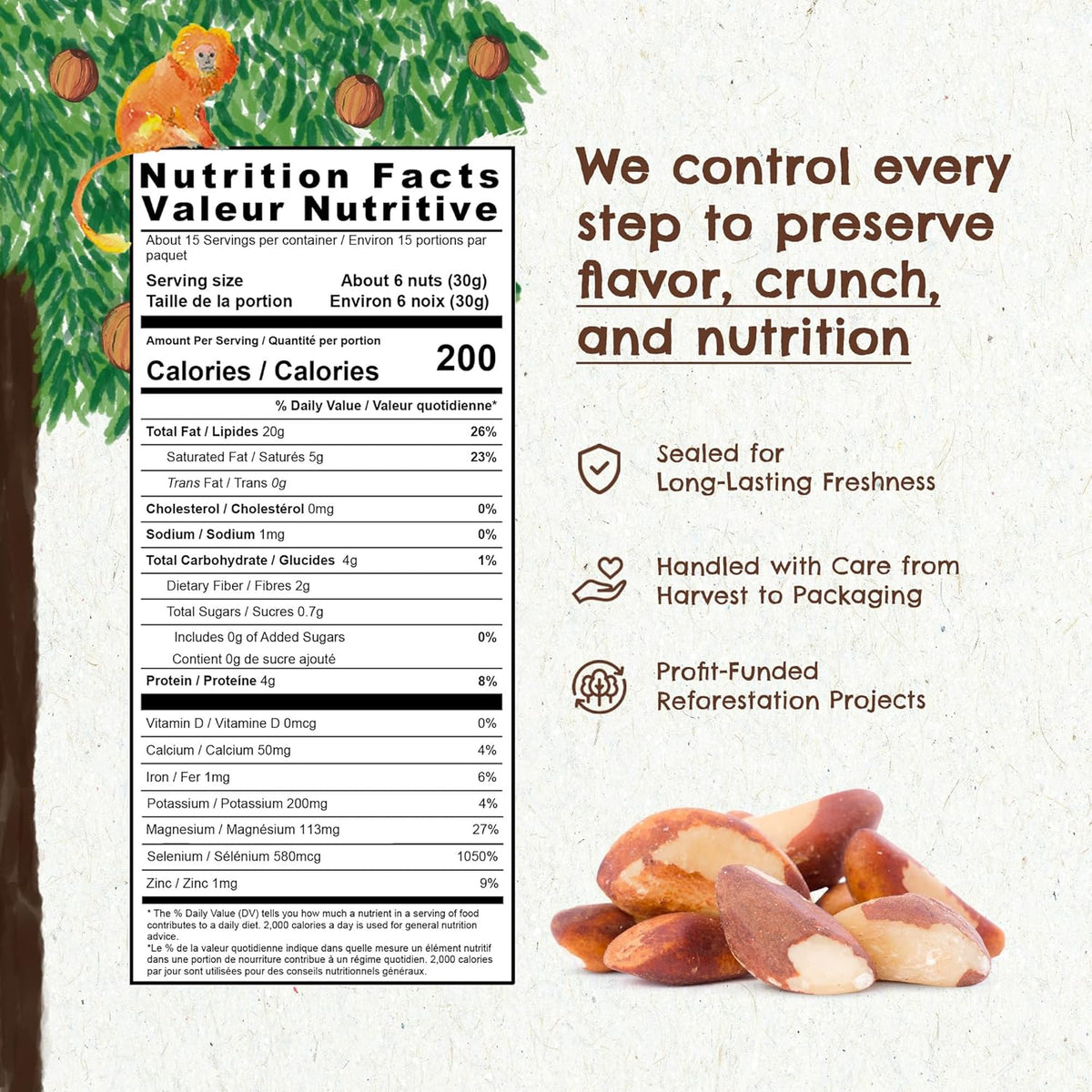 Snack The True Organic Brazil Nuts 15 oz – Raw and Unsalted – Kosher – Healthy-Rich in Vegetable Protein – Harvested in Amazon Rainforest – Fresh, Vegan and Gluten Free – Forest Up