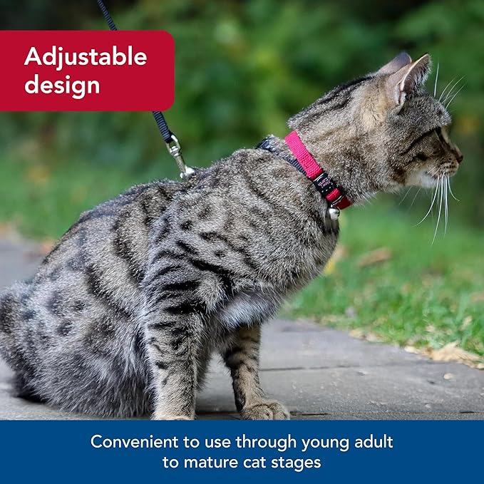Coastal Pet New Earth Soy Adjustable Breakaway Cat Collar - Eco-Friendly, Odor-Resistant and Adjustable Cat Collar, Cranberry, 3/8" x 08"-12"