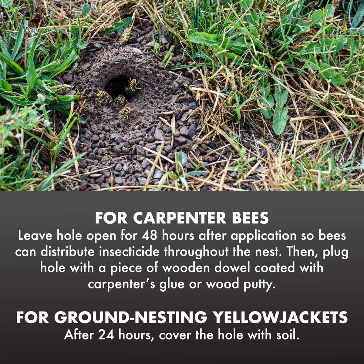 Spectracide Carpenter Bee and Ground Nesting Yellow Jacket Foaming Aerosol, 16-Ounce