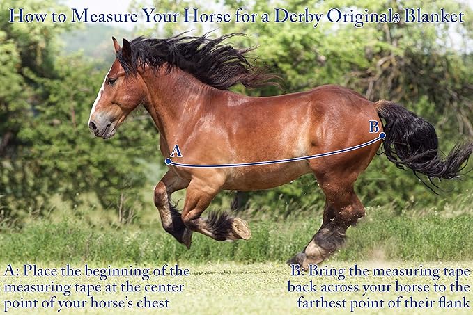 Derby Originals Nordic-Tough 1200D Heavyweight Mini Horse & Pony Turnout Blanket – Waterproof, Breathable, 300g Insulation, 210T Lining, Reflective, 2-Year Warranty (Turquoise, 50")