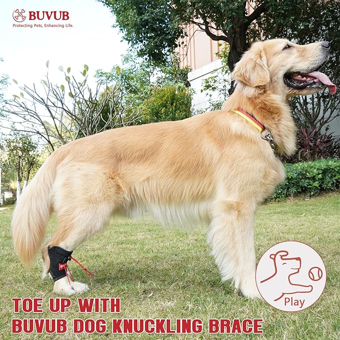 Canine Dog Knuckling Brace Rear Leg Dog Foot Brace Wrap for Toe Dragging Cause by Sciatic Nerve Insufficiency, Myelopathy, Herniated Disc (Large)
