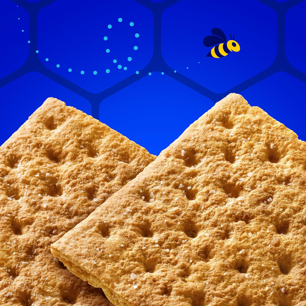 HONEY MAID Fresh Stacks Salted Caramel Graham Crackers, Limited Edition, Travel Snacks, 12.2 oz (6 Multi Snack Packs)