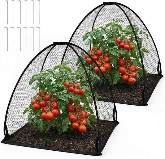 DECOHS 2 Pcs Pop-Up Mesh Plant Cover Tent, 30 x 28 x 28 Inch Garden Net Cage Guard Cover, Plant Protector Enclosure with 12 Ground Stakes for Protecting Plants Vegetable Fruit from Birds Insects