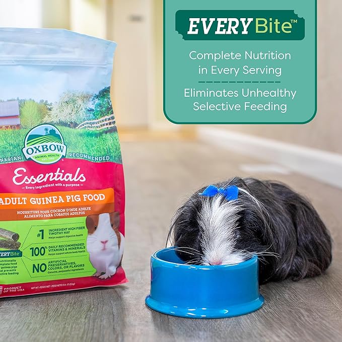 Oxbow Essentials Guinea Pig Food, Adult Guinea Pig, Made with Oxbow Timothy Hay, Pet Food Pellets with Vitamin C, Small Animal Pet Products, Made in USA, High Fiber, 5 lb. bag